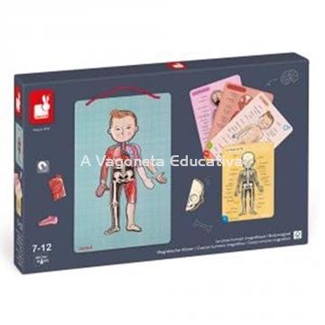 CUERPO HUMANO MAGNÉTICO - Imagen 1