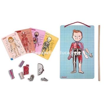 CUERPO HUMANO MAGNÉTICO - Imagen 2