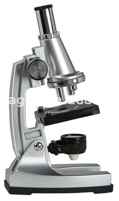 MICROSCOPIO TRIPLE AUMENTO 100X 400X 900X - Imagen 2