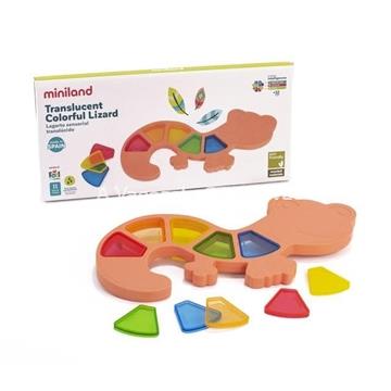 SALAMANDRA TRASLÚCIDA SENSORIAL DE COLORES - Imagen 1